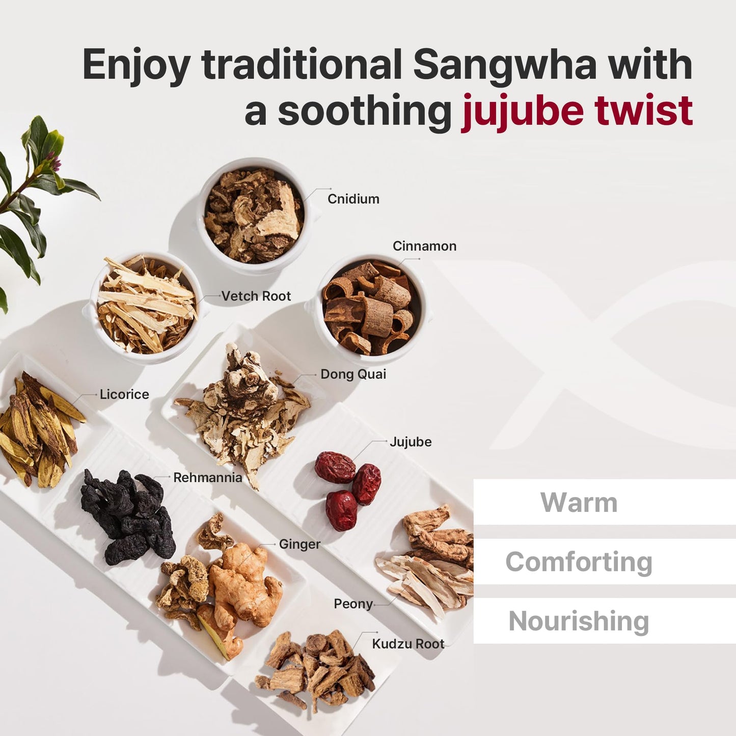 Kwangdong Ssang Hwa Jin – Traditional Korean Jujube Tea (10-Pack)