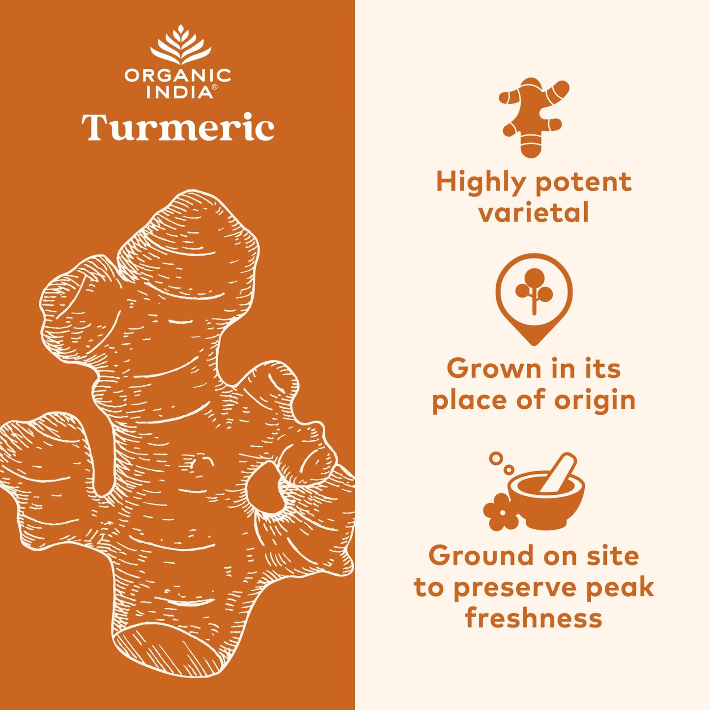 ORGANIC INDIA Spiced Turmeric Latte – Golden Milk Blend with Ginger & Cinnamon (3.52 oz)