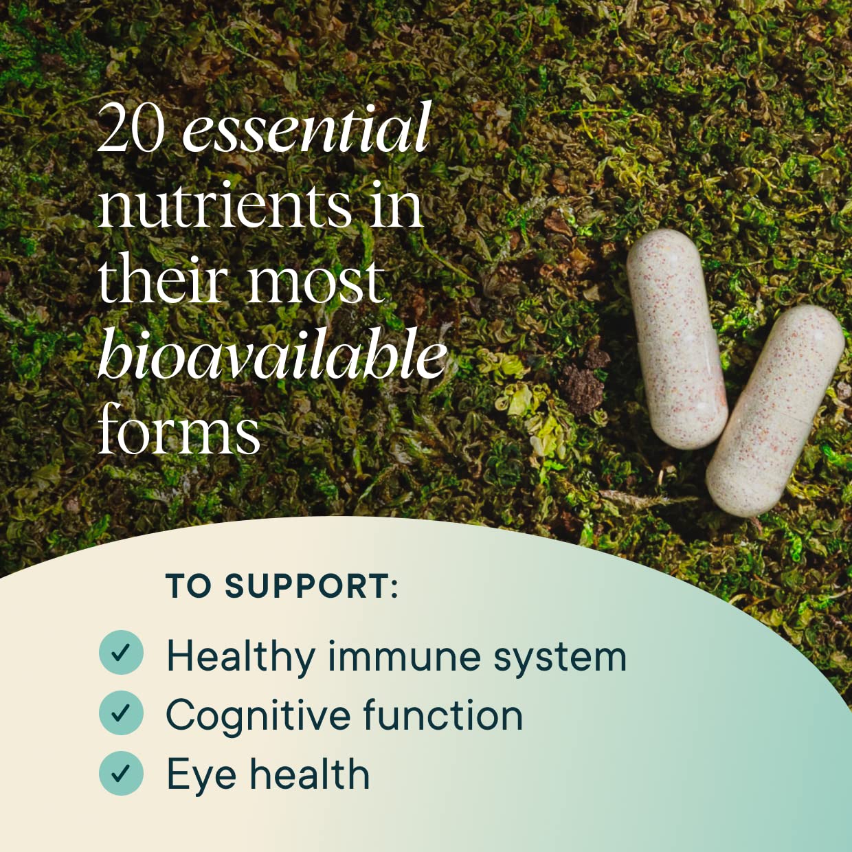 Ora Organic Multivitamin – Plant-Based Daily Support (60 Vegan Capsules)