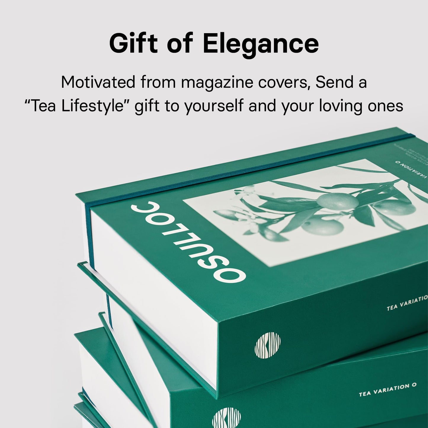 OSULLOC Tea Variation "O" – 36 Premium Jeju Tea Bags (6 Types)