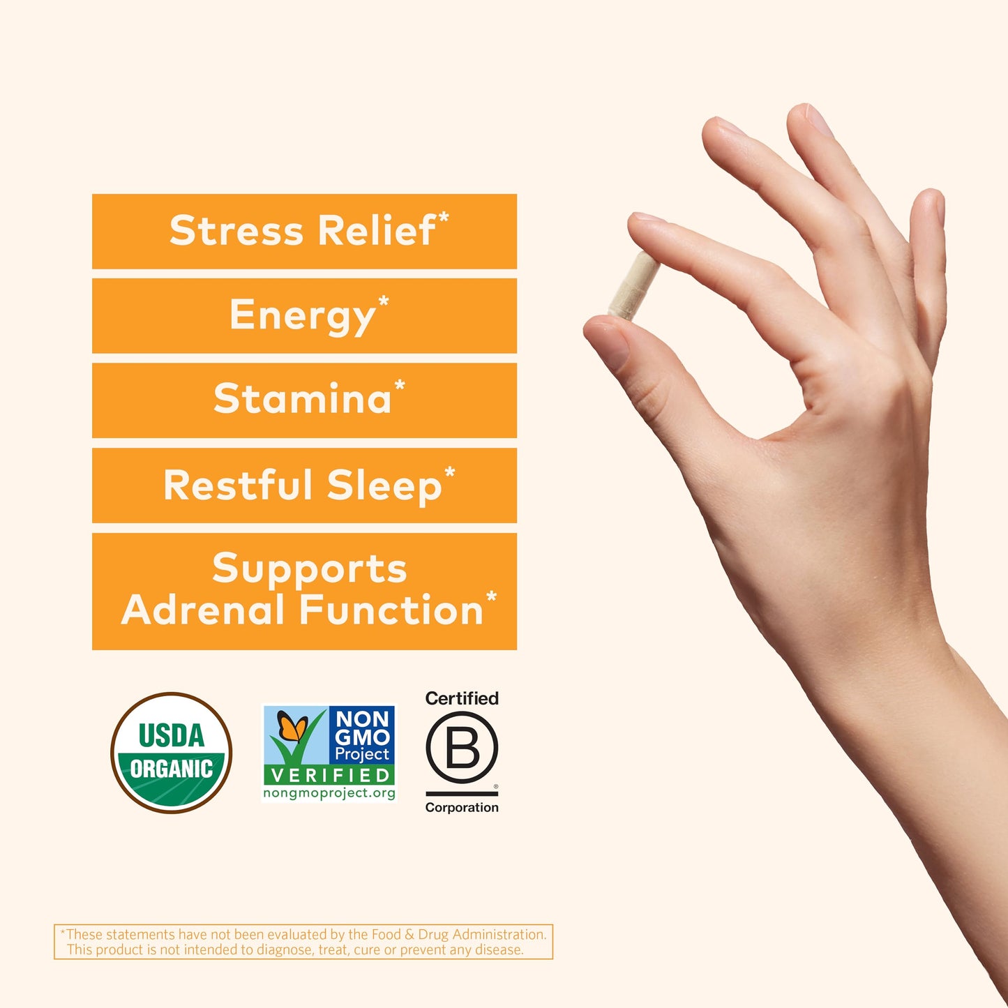 ORGANIC INDIA Ashwagandha Capsules – Stress, Energy & Sleep Support (90 ct)