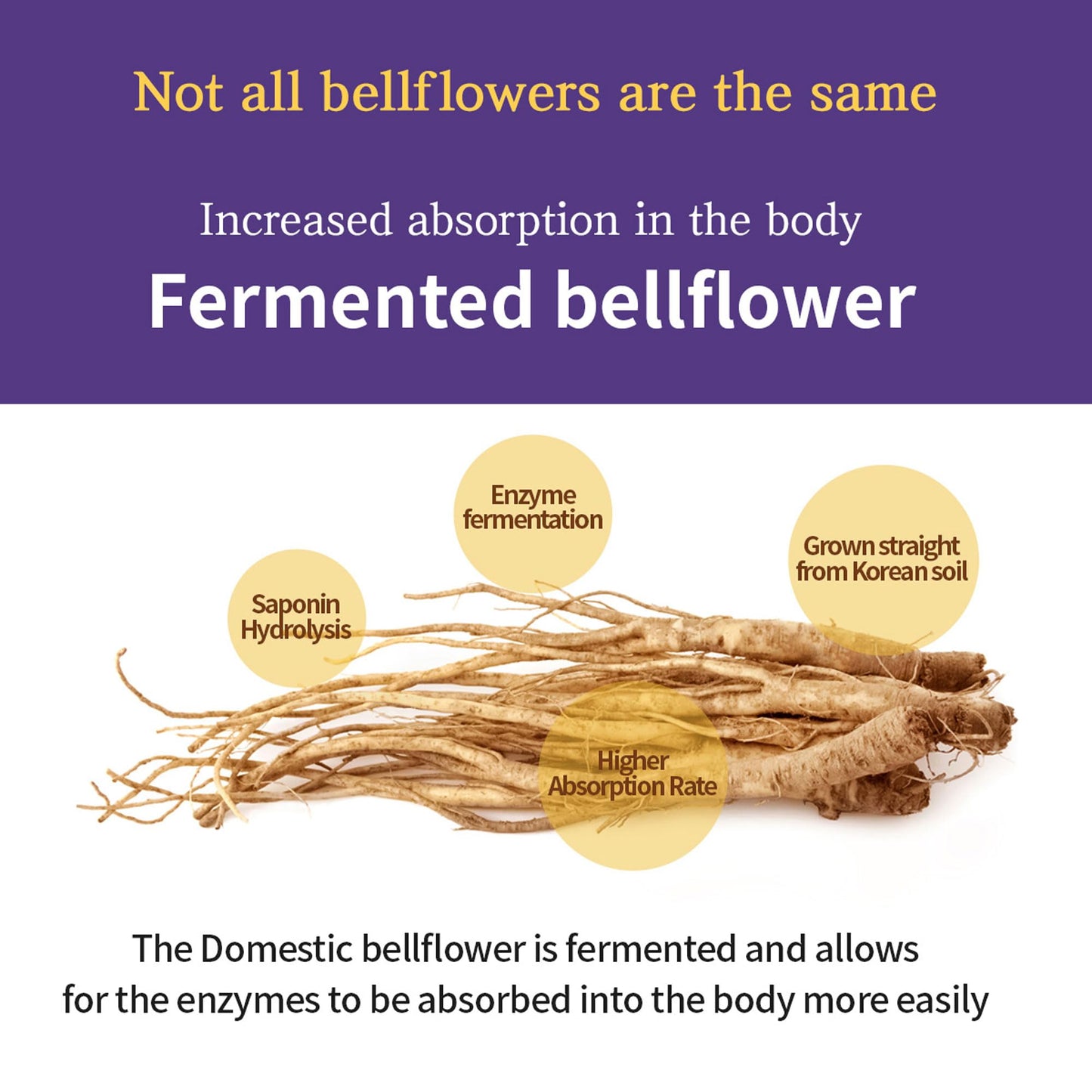 Bellflower Root Juice – SAMSIDAE Korean Wellness Drink (30 Pack)