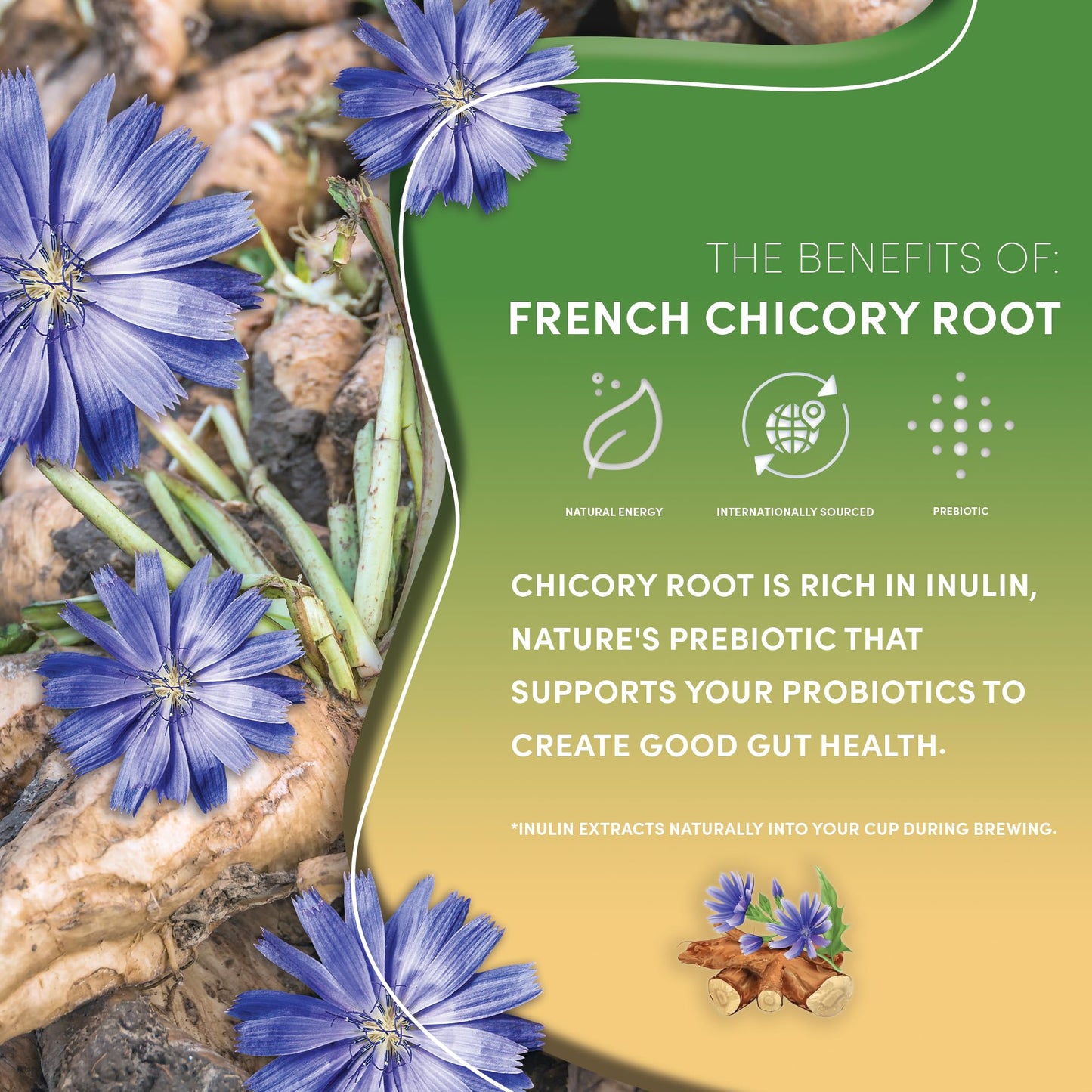Teeccino French Roast – Caffeine-Free Coffee Alternative (25 Bags)