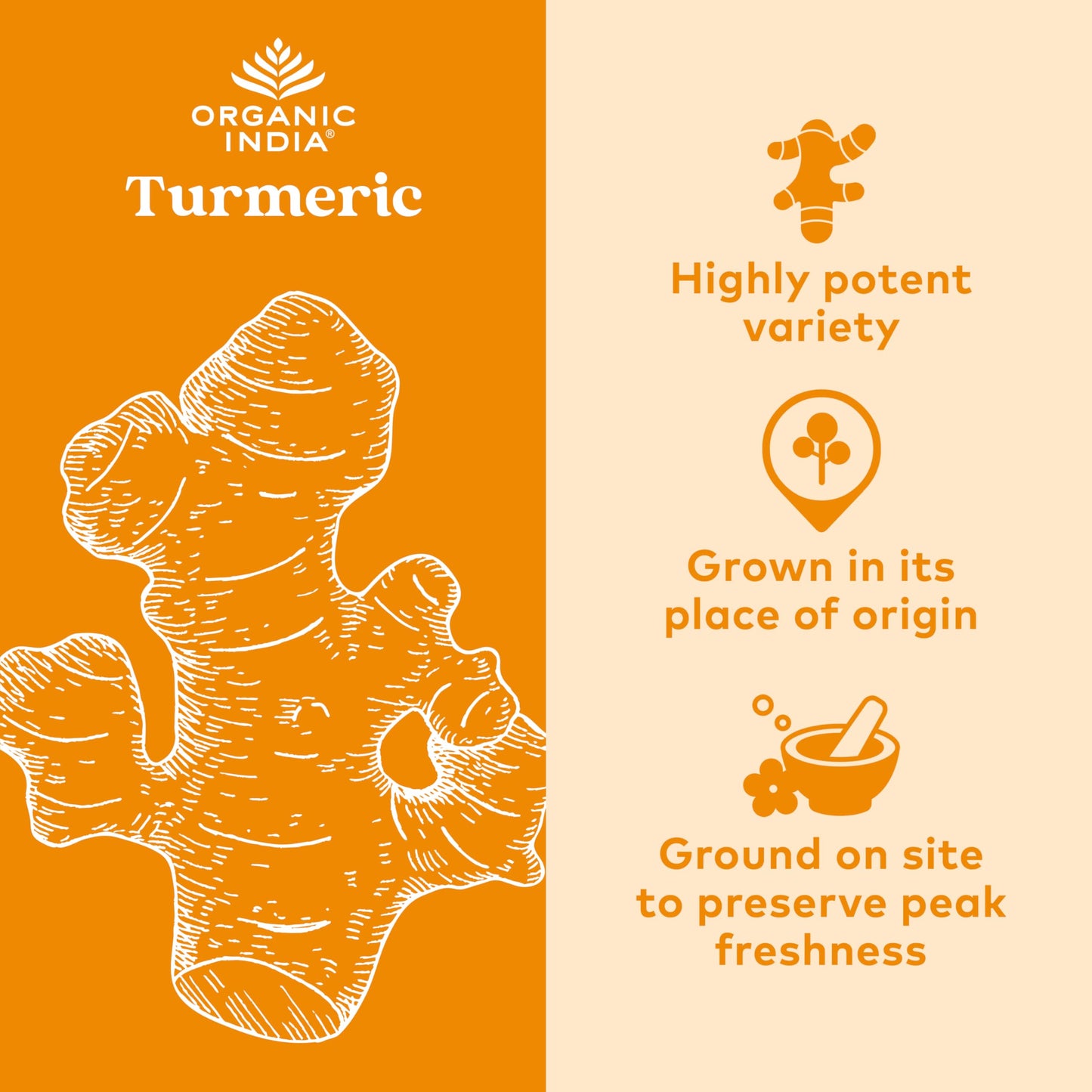 ORGANIC INDIA Joint & Immune Formula – Turmeric Curcumin + Black Pepper (180 ct)