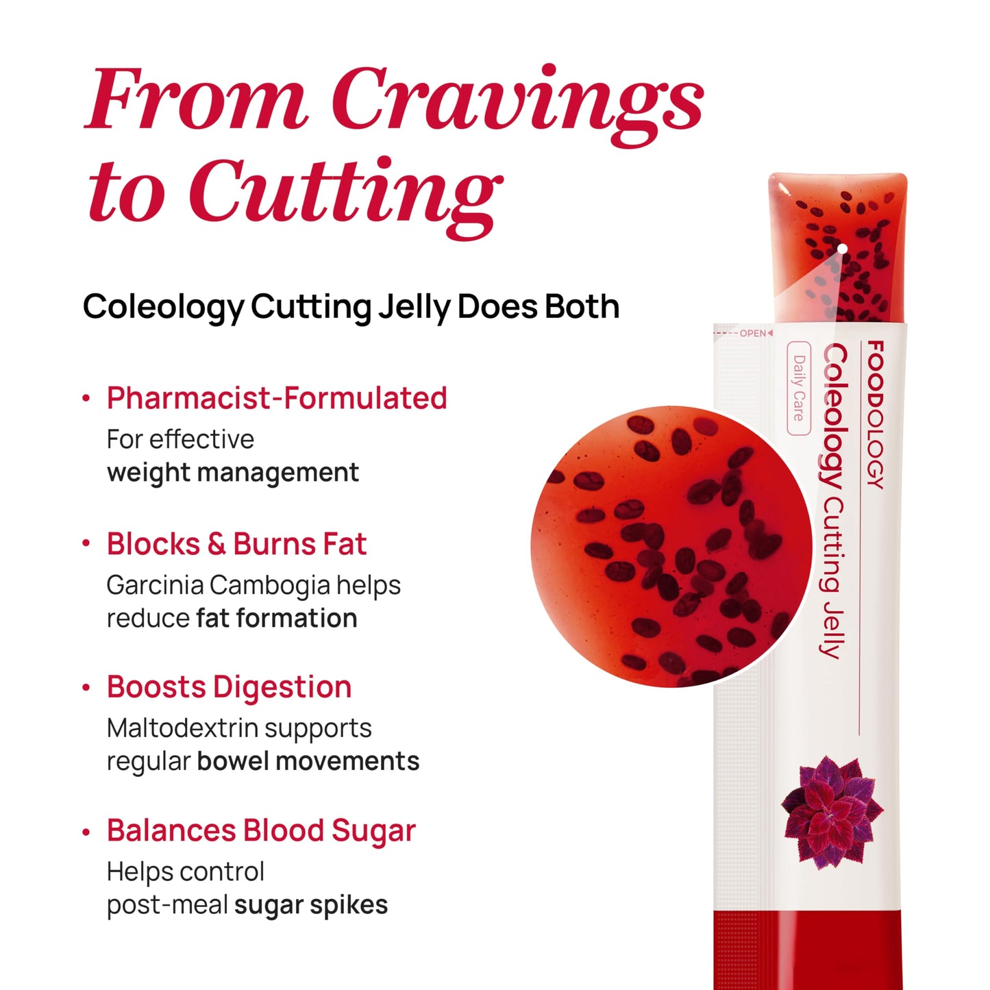 FOODOLOGY Coleology Cutting Jelly – Garcinia & Collagen Sticks (10 Sticks)