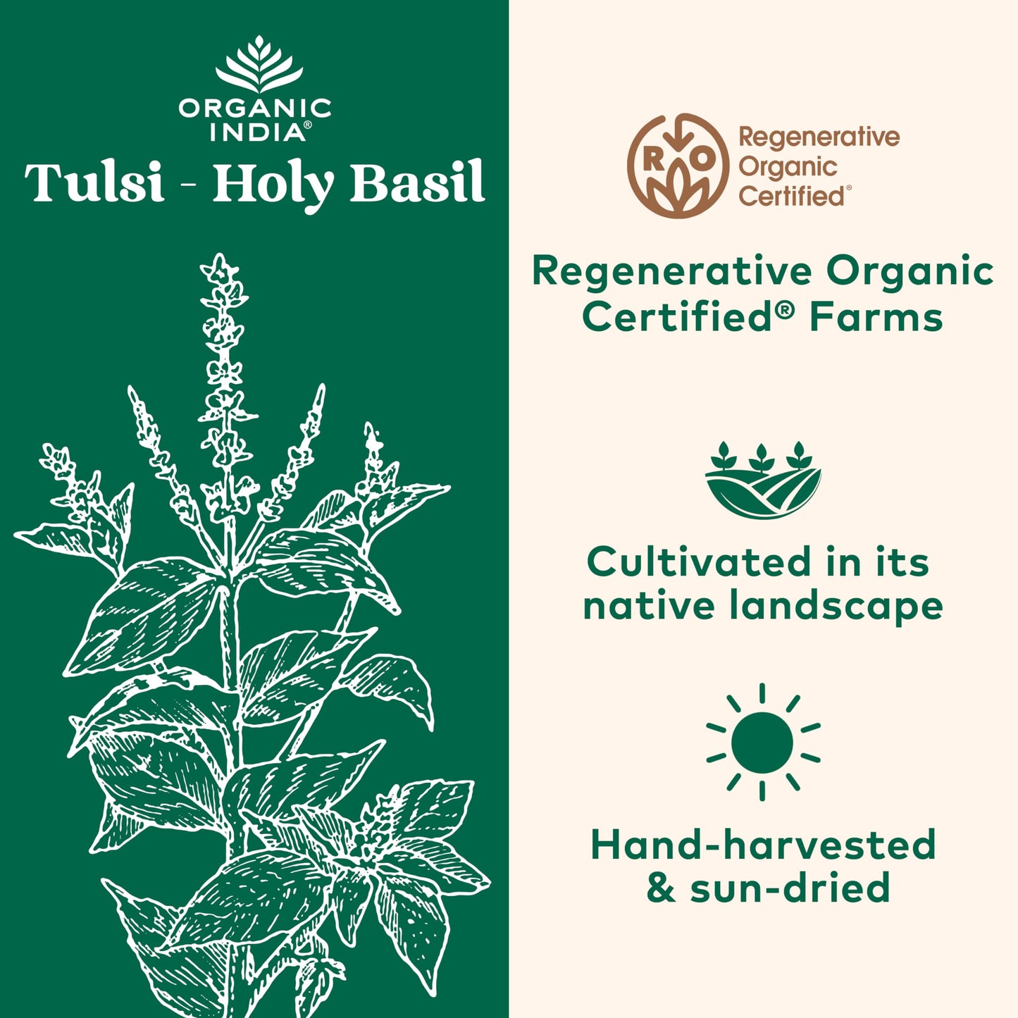 ORGANIC INDIA Tulsi Capsules – Holy Basil for Immunity & Stress (90 ct)