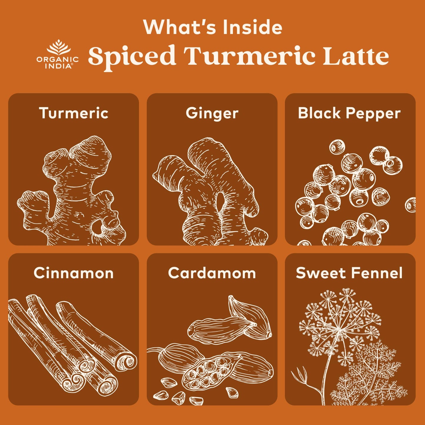 ORGANIC INDIA Spiced Turmeric Latte – Golden Milk Blend with Ginger & Cinnamon (3.52 oz)