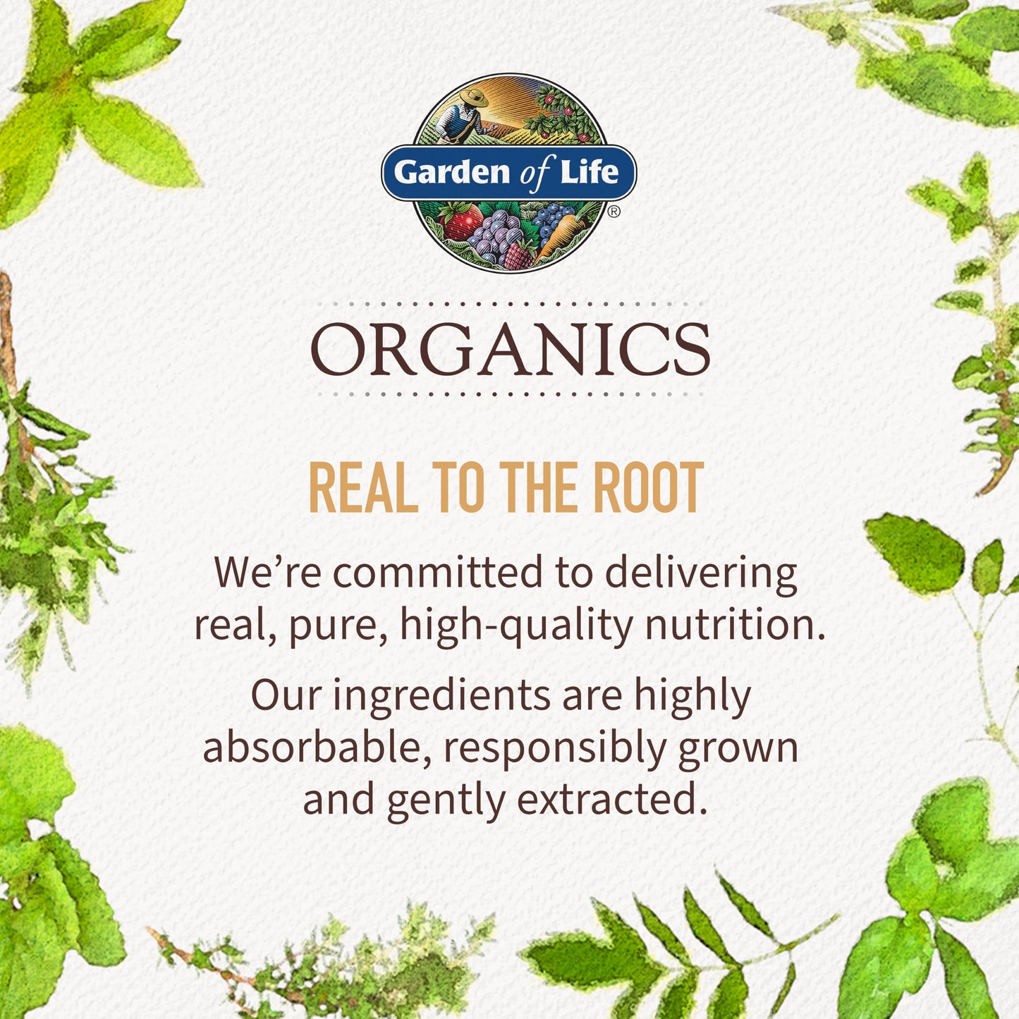 Garden of Life Organics – Vegan Multivitamin for Energy, Hair & Skin (60 ct)