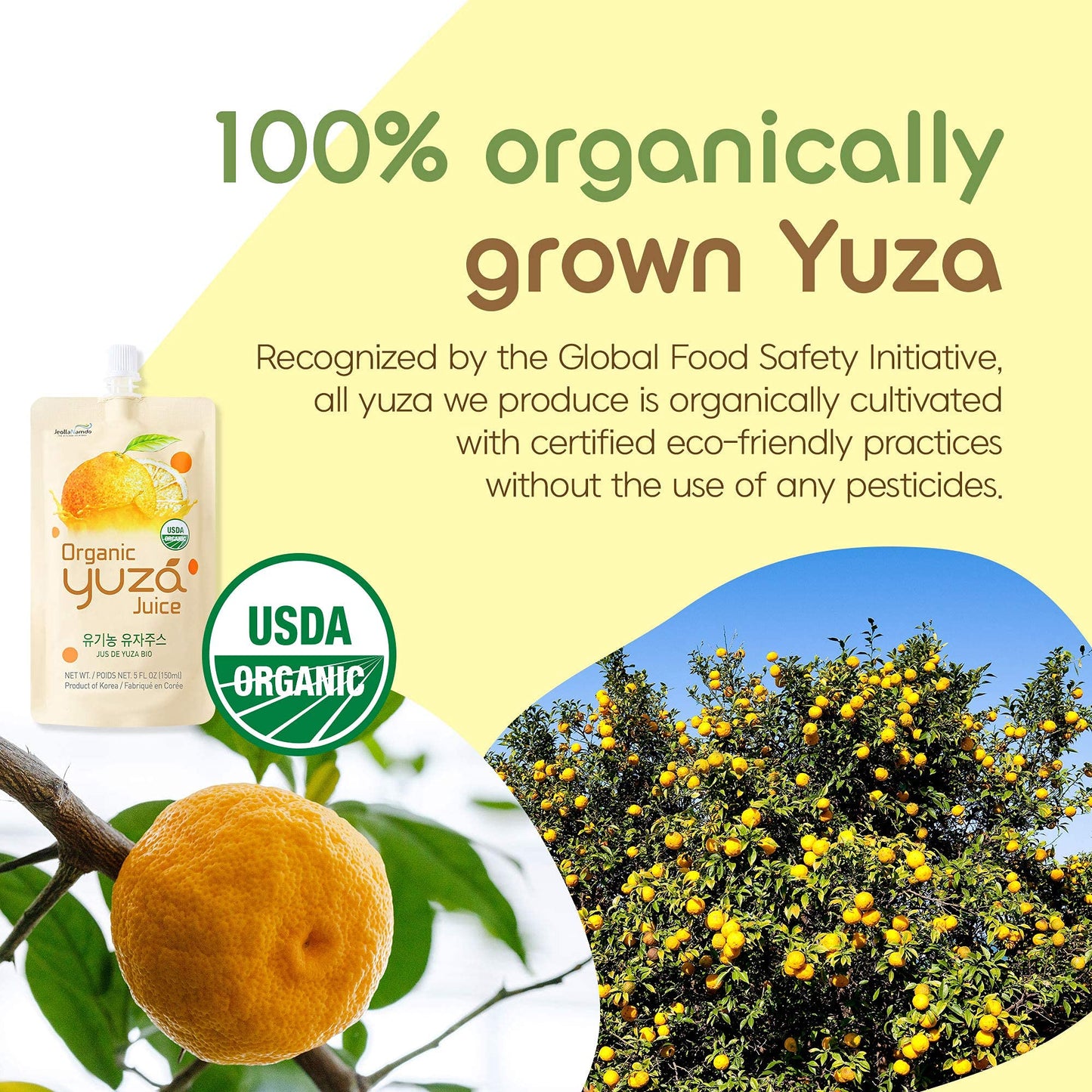 USDA Organic Yuzu Drink – Korean Honey Citron Tea (6-Pack)