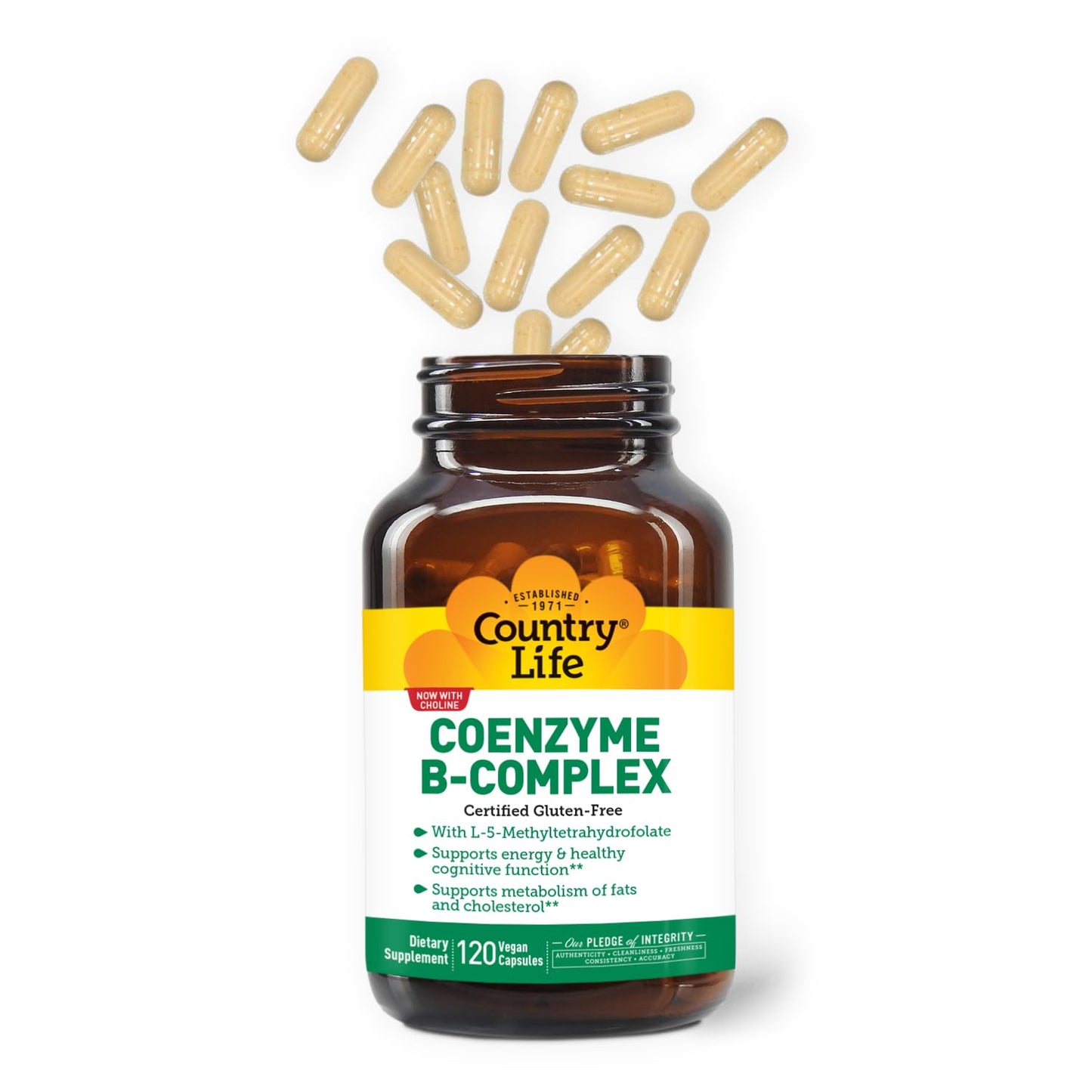 Coenzyme B Complex by Country Life – Bioavailable B Vitamins with Choline (120 ct)