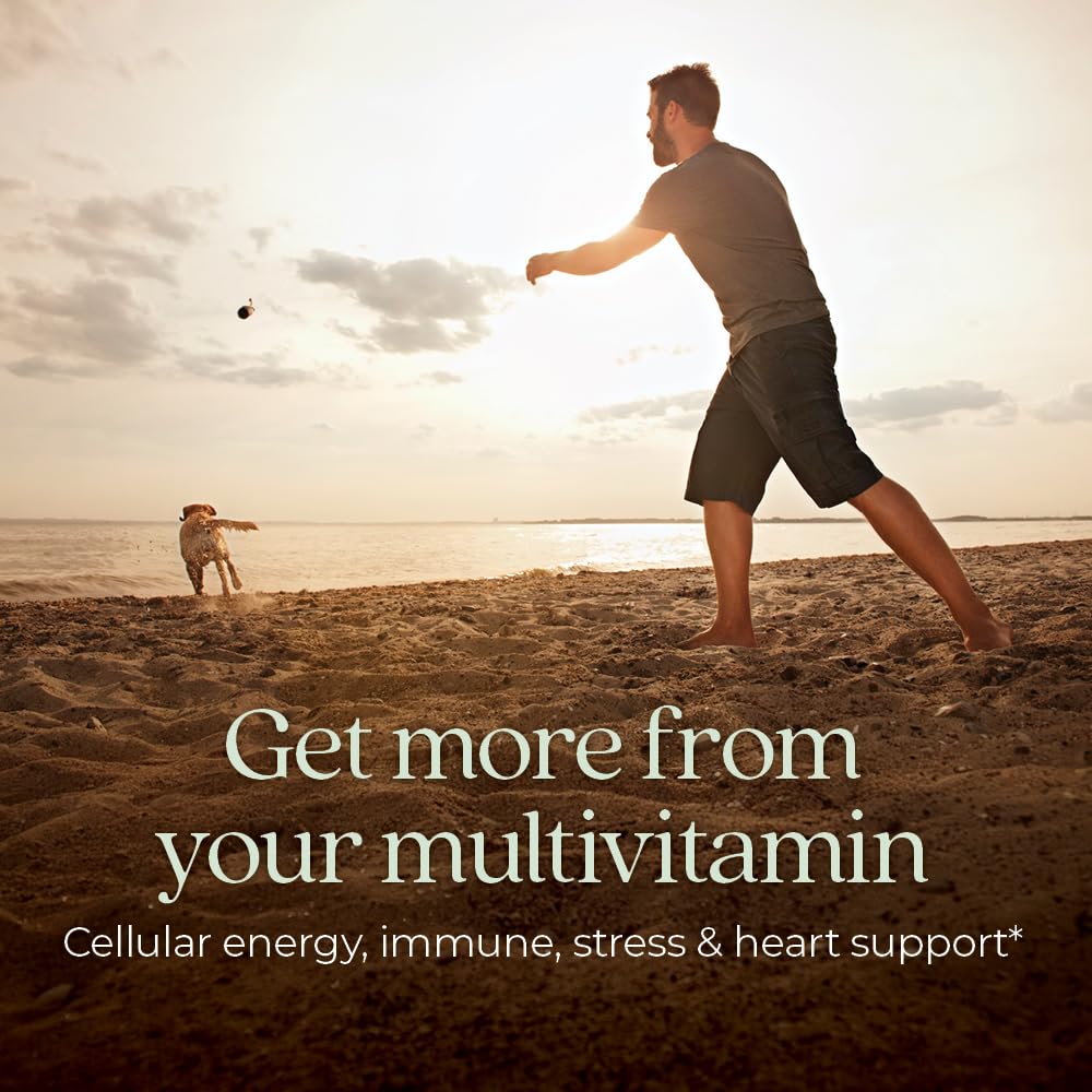 New Chapter Men's One Daily – Immune, Stress & Heart Support (72 ct)