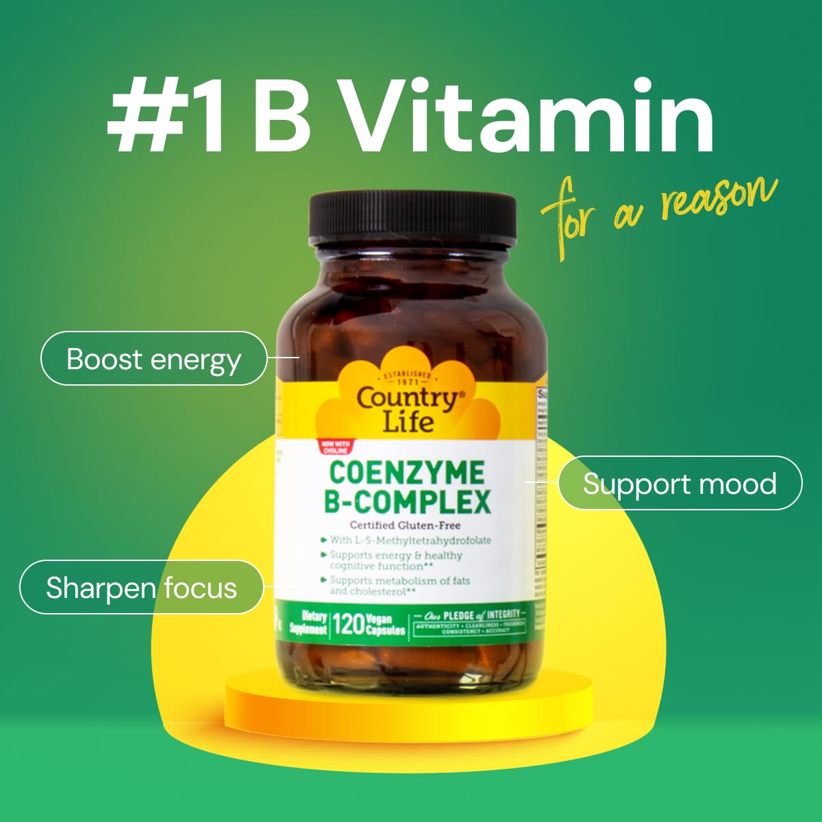 Coenzyme B Complex by Country Life – Bioavailable B Vitamins with Choline (120 ct)