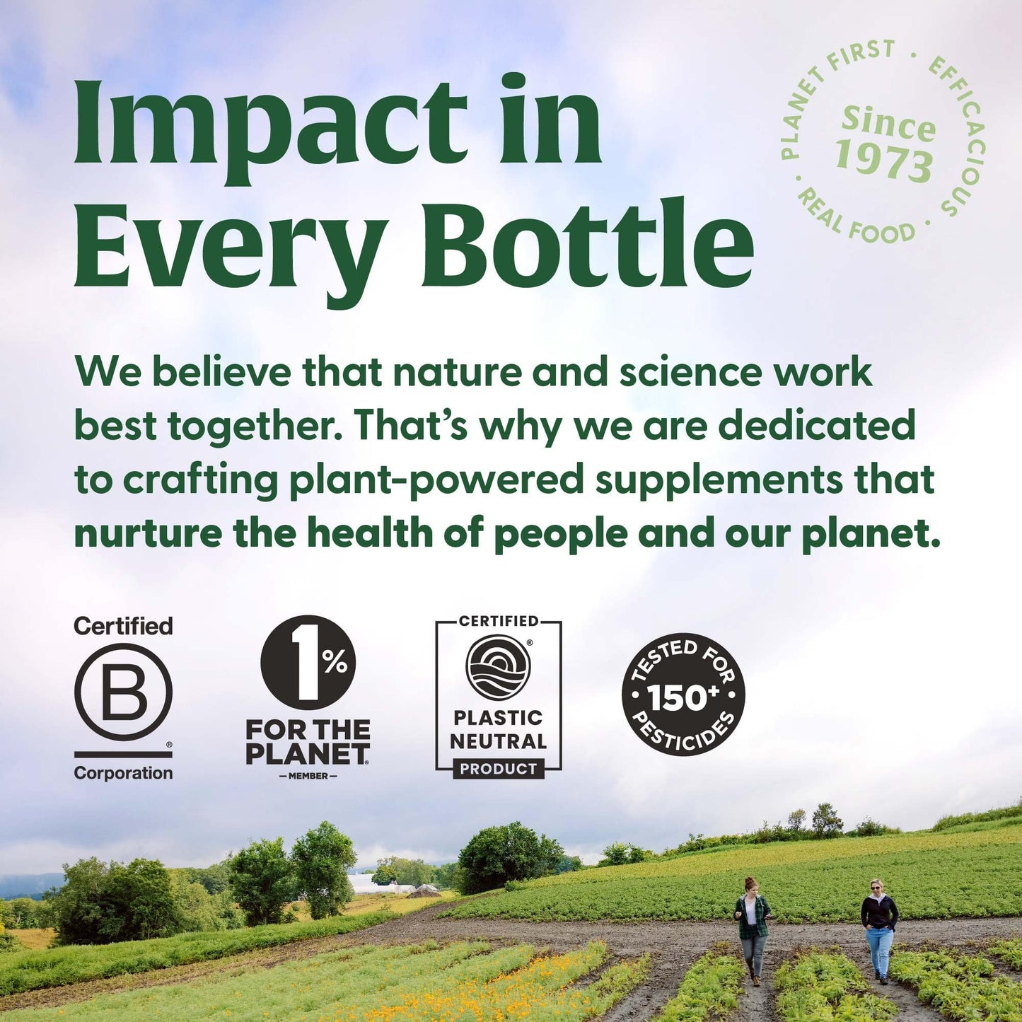 MegaFood B Complex – Folate, B6, B12, Biotin & More (90 ct)