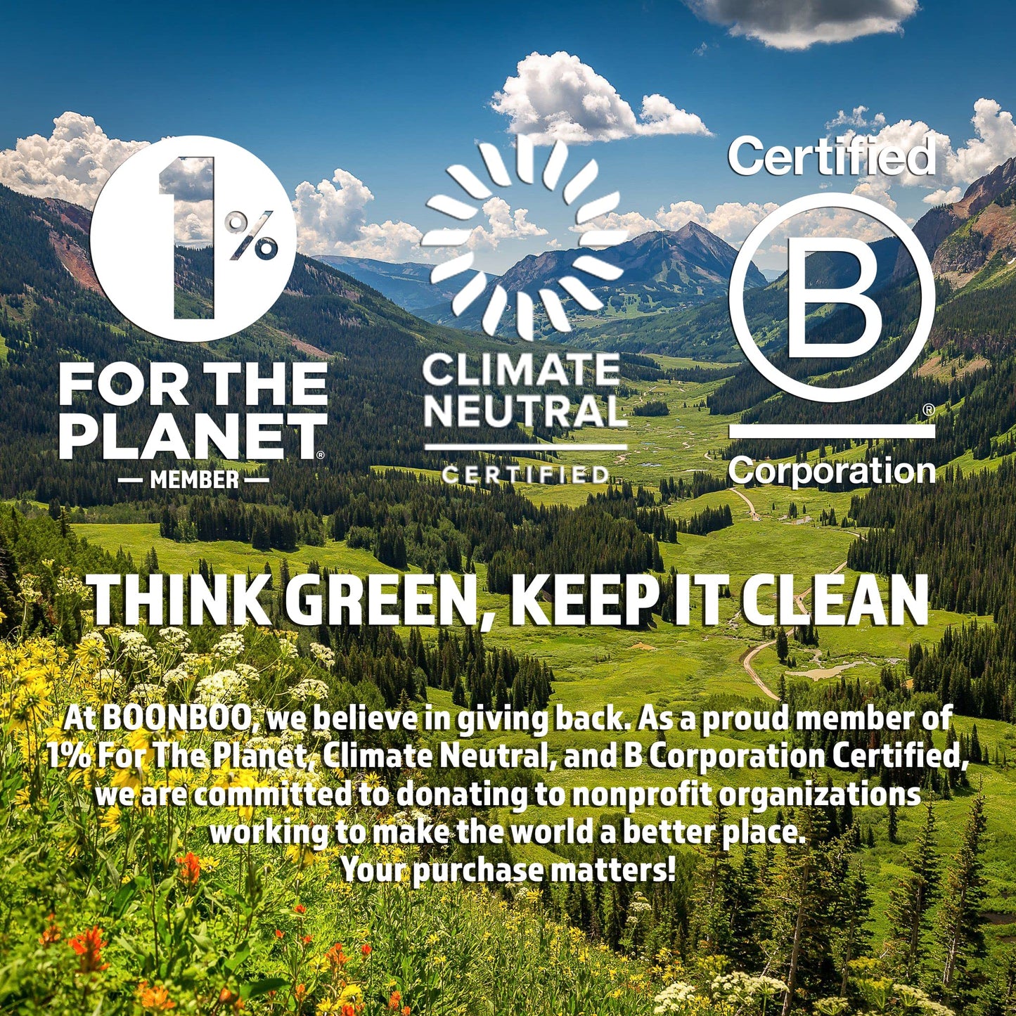 BOONBOO Bamboo Toilet Paper, 3-Ply Unbleached, 4 Rolls